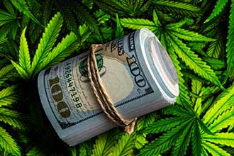 cannabis stocks making money