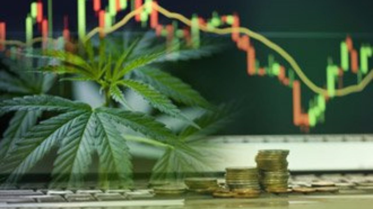 The 3 Best Marijuana Stocks to Buy for 2020