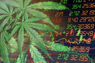 Cannabis Stocks Fly High On Biden Administration Potential