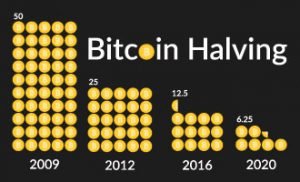 12.5 bitcoins