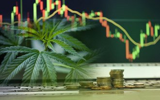 A marijuana plant imposed on a computer screen with a line chart and stacks of coins behind it.