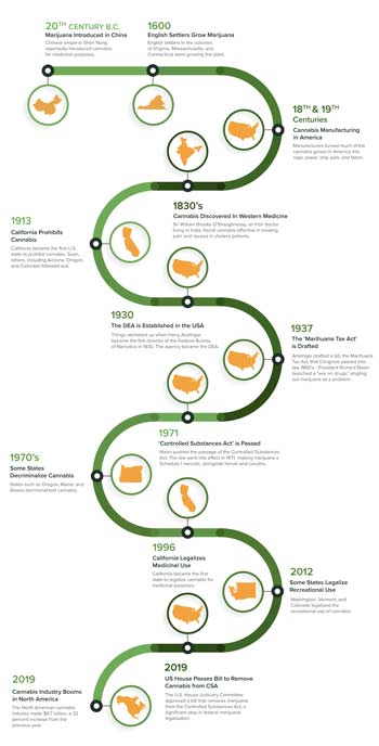 Graphic timeline of the history of cannabis