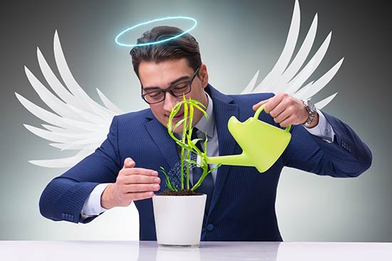 Man in a business suit with angel wings watering a pot with a dollar sign growing out of it.