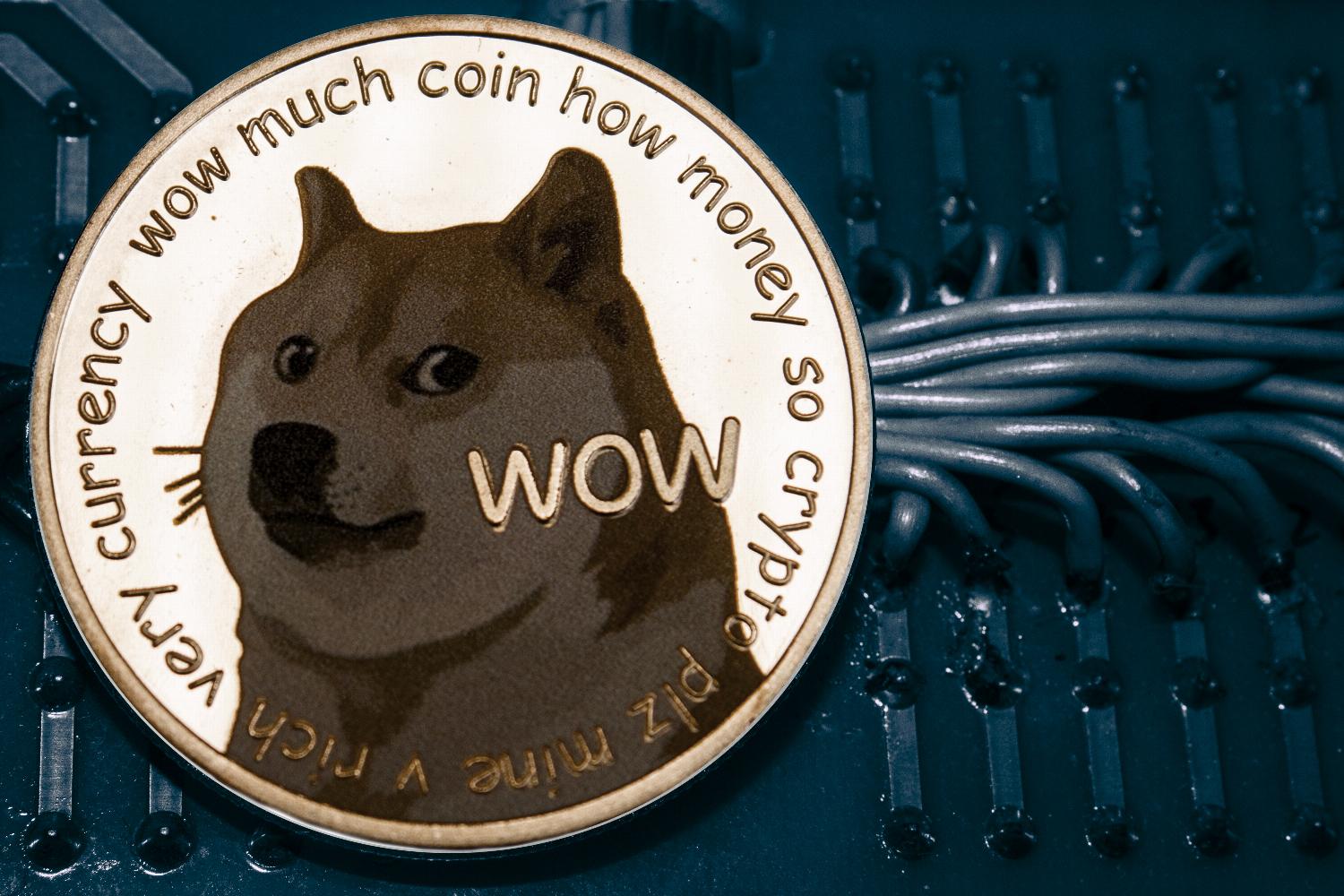 Как dogecoin перевести на флешку