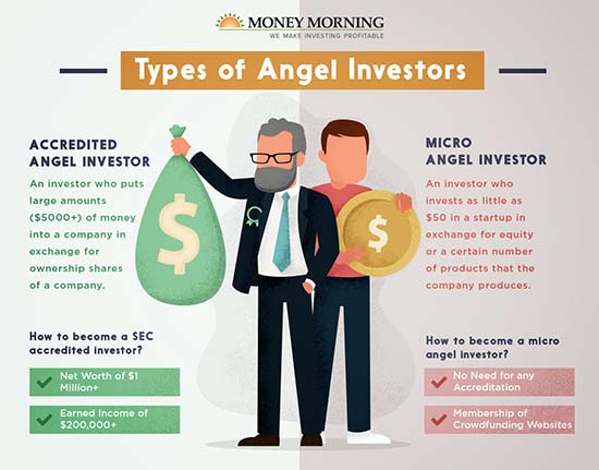 what is angel investor in business plan