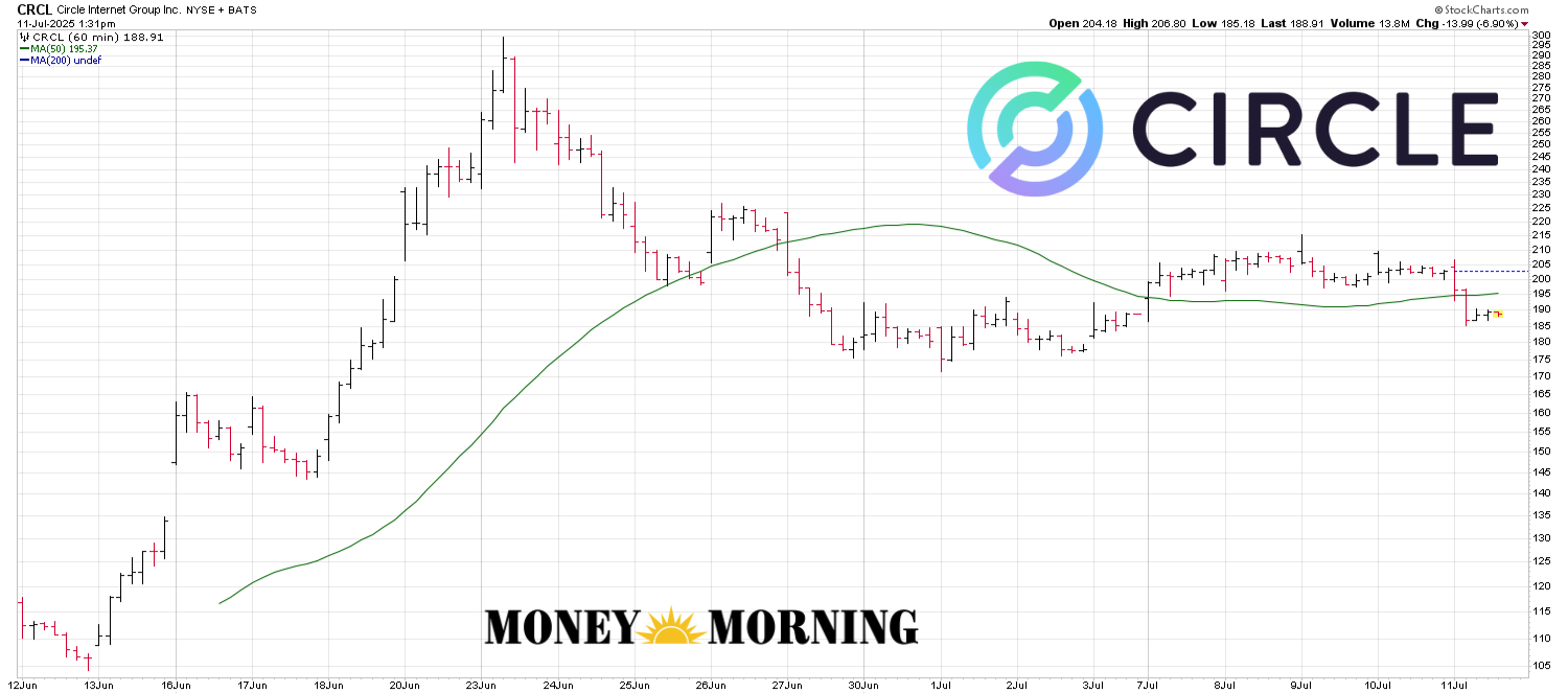 Will the Circle (CRCL) Bubble Pop, or Is More Mania Ahead?