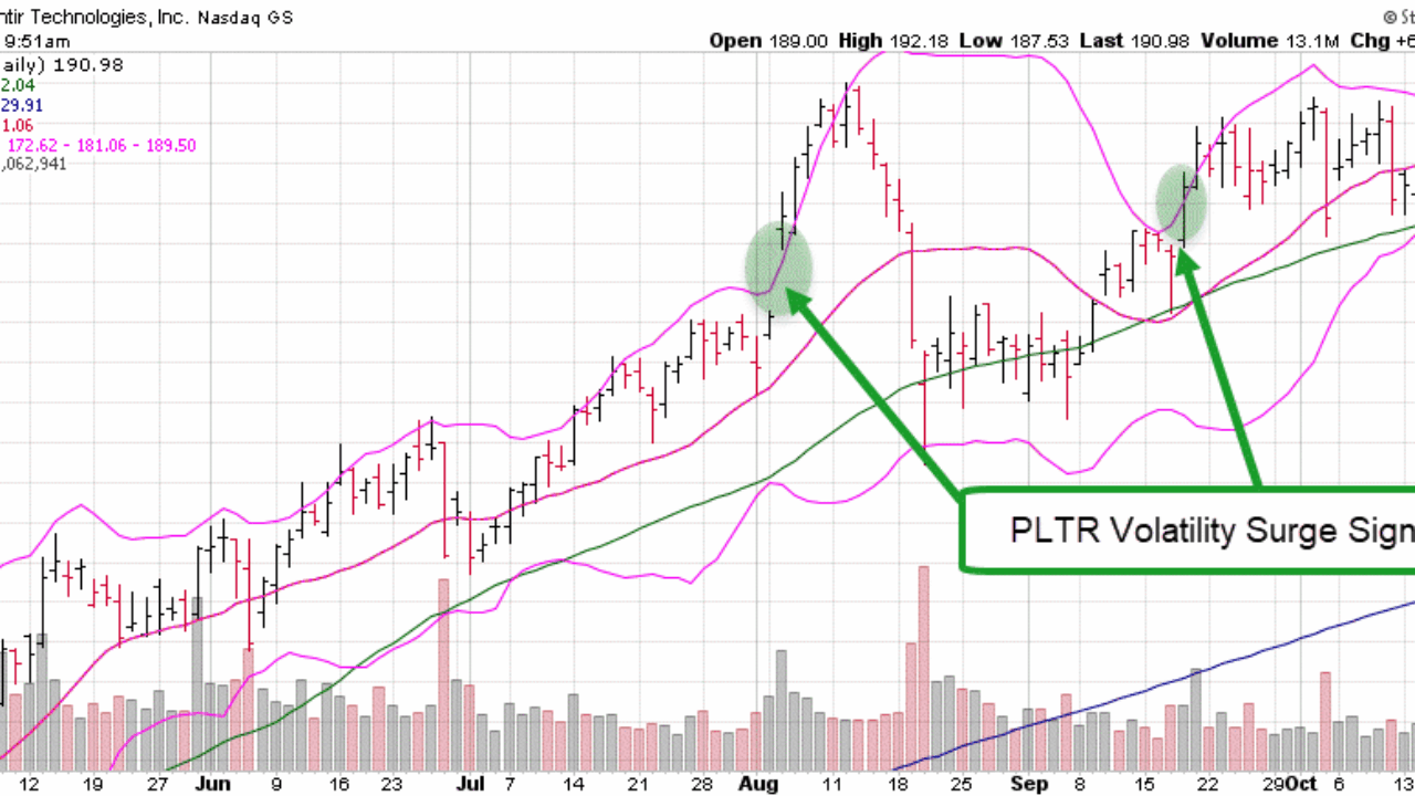 Citron research pltr (69) 사진